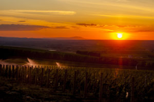 Sunset view from Les Collines Vineyard
