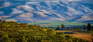 Wander Walla Walla Valley Wine 35