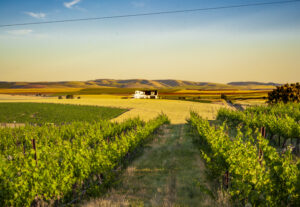Celebrate Walla Walla Valley Wine 46