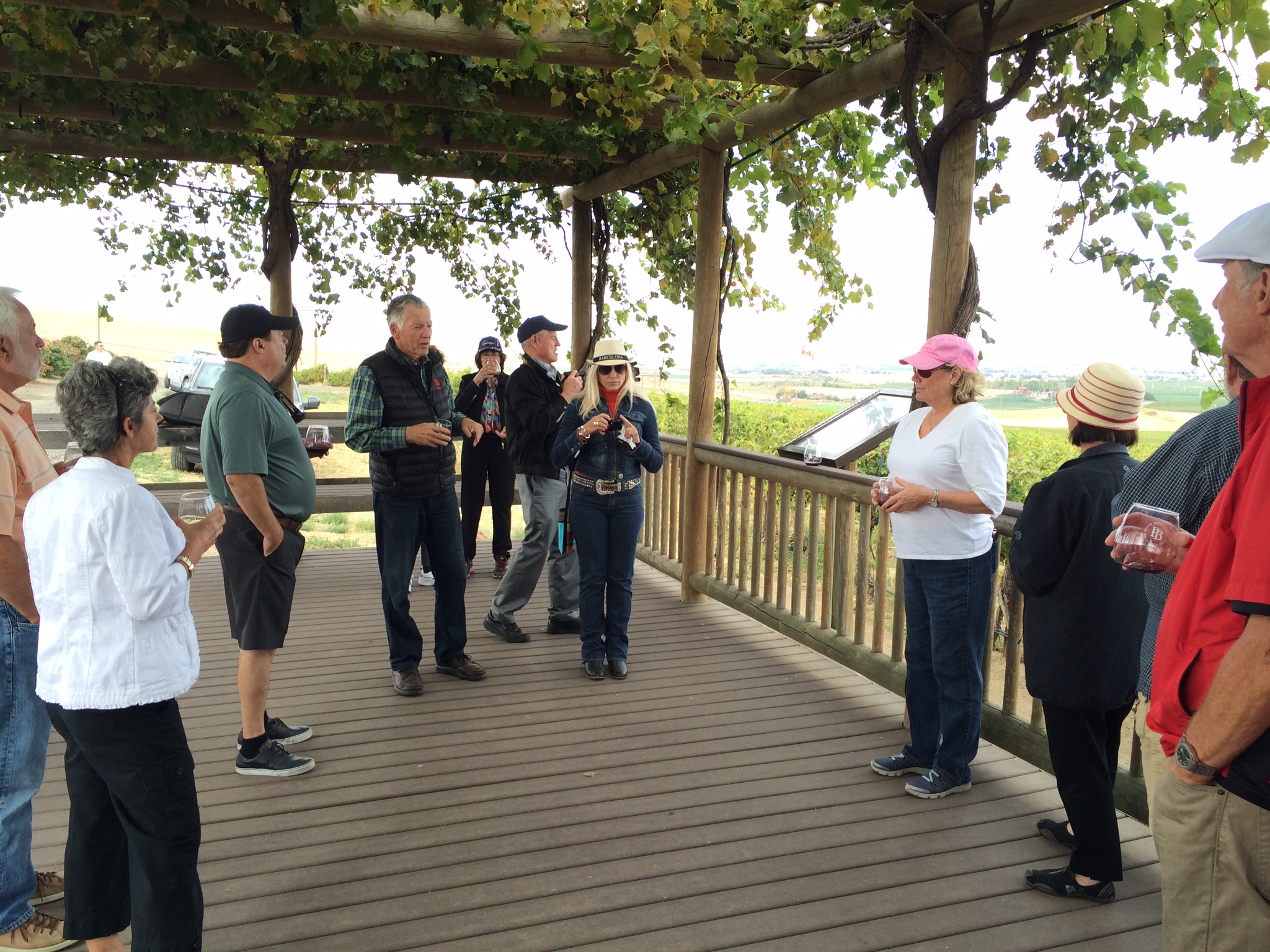 Vineyard to Winery Experience